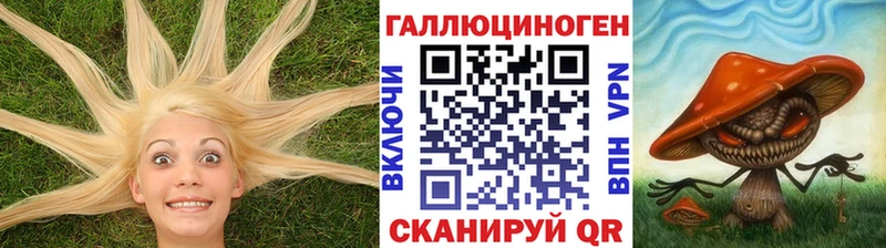 где найти   Златоуст  МЕГА как зайти  Псилоцибиновые грибы мухоморы 